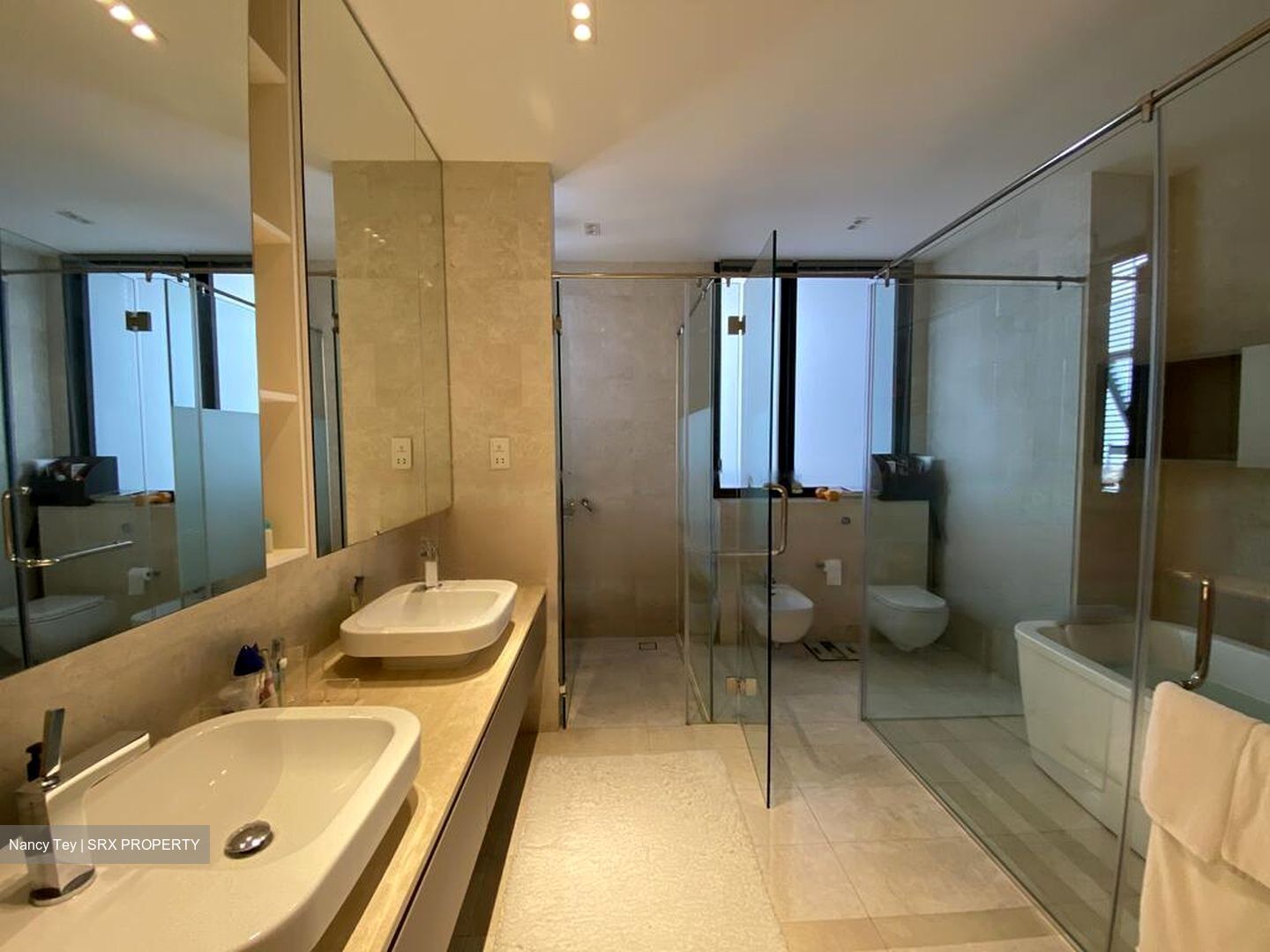 Trilight (D11), Condominium #469868051